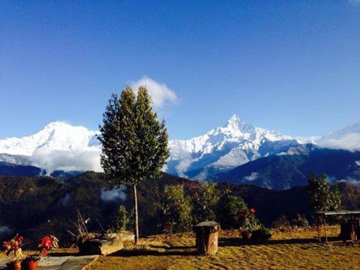 Himalayan Deurali Resort Pokhara Luaran gambar